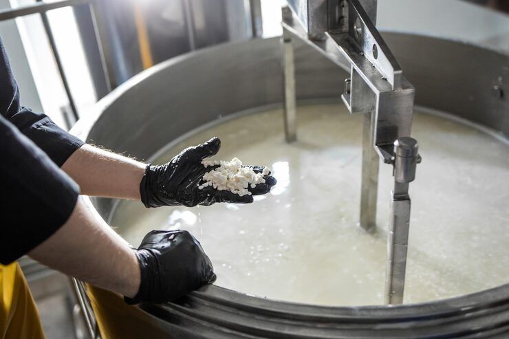 Cheese Making Machines – Complete Guide to Types, Working Process, Benefits, and Applications