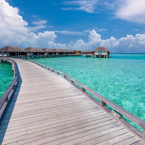 Beaches of the Maldives: Complete Guide to the Most Beautiful Islands, Activities, and Travel Tips